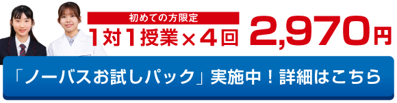 個別指導塾ノーバス北浦和本校　公式サイト限定・ノーバスお試しパック