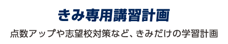 きみ専用講習計画：点数アップや志望校対策など、きみだけの学習計画。