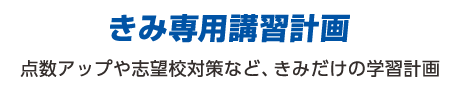 私専用講習計画：点数アップや志望校対策など、私だけの学習計画。
