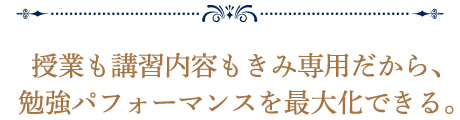 授業も講習内容もきみ専用だから、勉強パフォーマンスを最大化できる。
