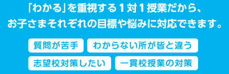 「わかる」を重視する１対１授業だから、お子さまそれぞれの目標や悩みに対応できます。質問が苦手・わからない所が皆と違う・志望校対策をしたい・一貫校授業の対策